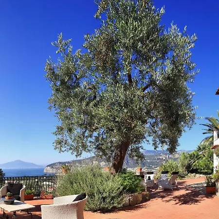 M Sorrento