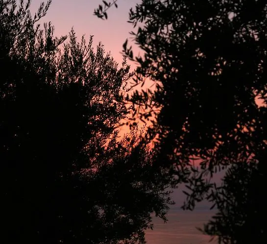 M Lejlighed *